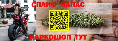 a pvp Славянск-на-Кубани