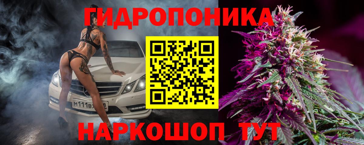 Шишки марихуана гибрид Ревда
